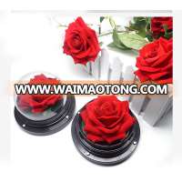 Wedding Christmas Gift Real Touch Led Eternal Flower Light Beauty And The Beast Red Rose